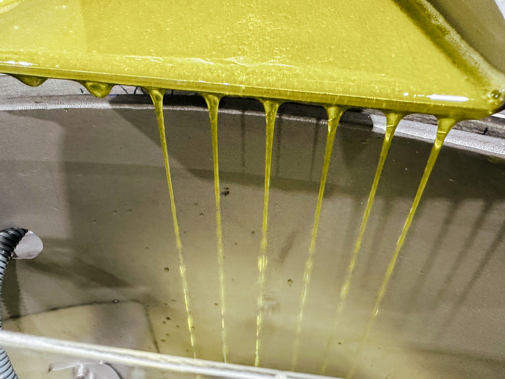 Freshly extracted cold-pressed extra virgin olive oil flowing from the mill at PepperGreen Estate, highlighting the purity, low acidity, and quality production process consumers should look for when choosing olive oil
