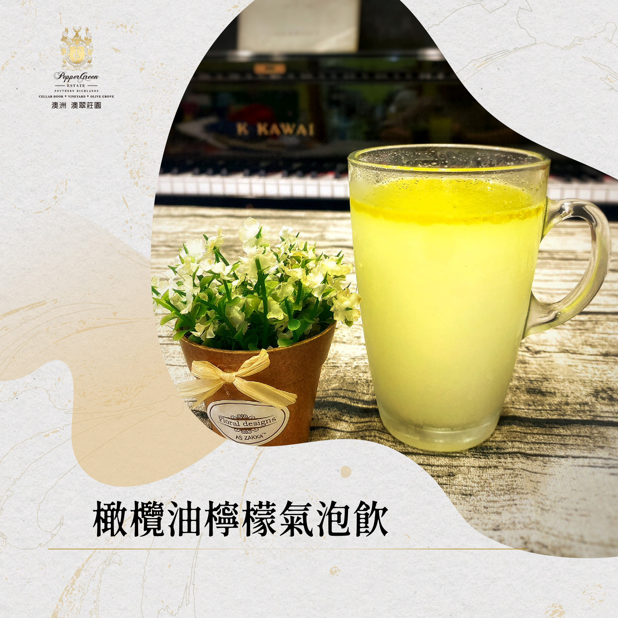 一杯清爽的橄欖油檸檬氣泡飲，盛裝在玻璃馬克杯中，旁邊擺放著一盆小盆栽。