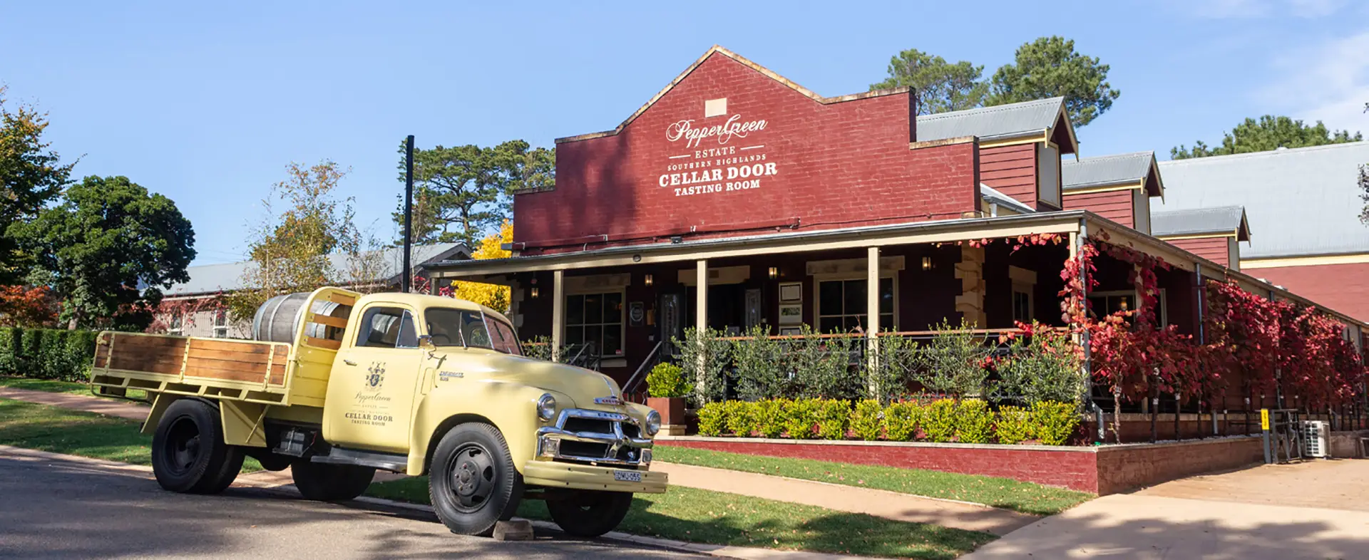 Sunlit olive grove representing the pure, natural origin of skincare-grade olive oil used in expert facial care routines for hydration, cleansing, and glow enhancement