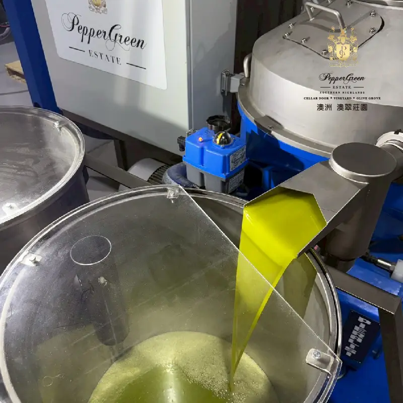 Olive oil pours from processing machinery into large metal vats at PepperGreen Estate.